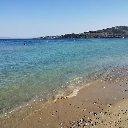 Vasia's Cosy Sea At Alykes Apartamento