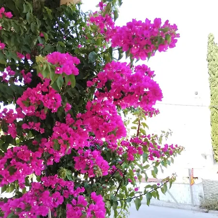 Vasia's Cosy Sea At Alykes